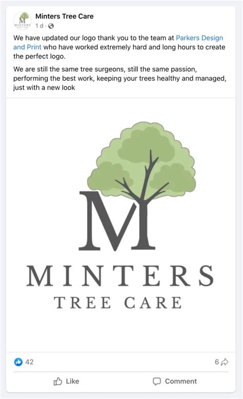 Image result for Maine Tree Care Logo