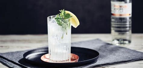 Image result for Python Straaljager