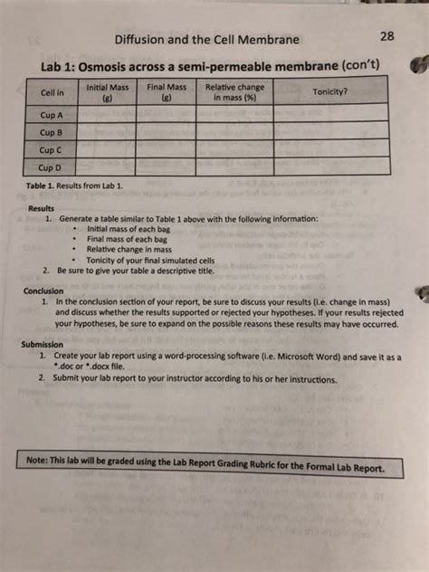 Image result for Cell Membrane Diffusion Lab