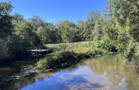 Mud Races in Milton Florida に対する画像結果