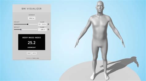 Image result for Body Dimensions Visualizer Bust