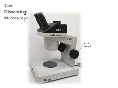 Image result for Dissectiong Microscope