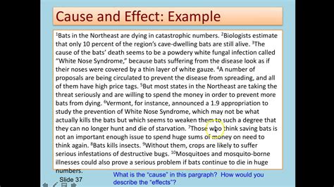 Causal Pattern Speech Example に対する画像結果