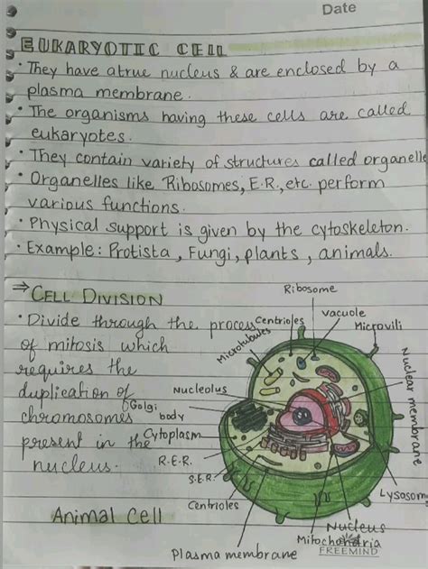 Toradh íomhá ar Cell Aesthetic Notes