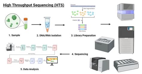 Image result for High-Throughput Screening Protein Interaction