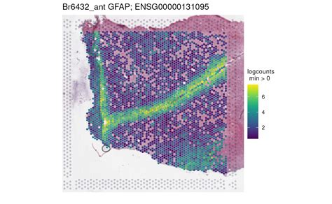Image result for Pwhitescript Map Genetic