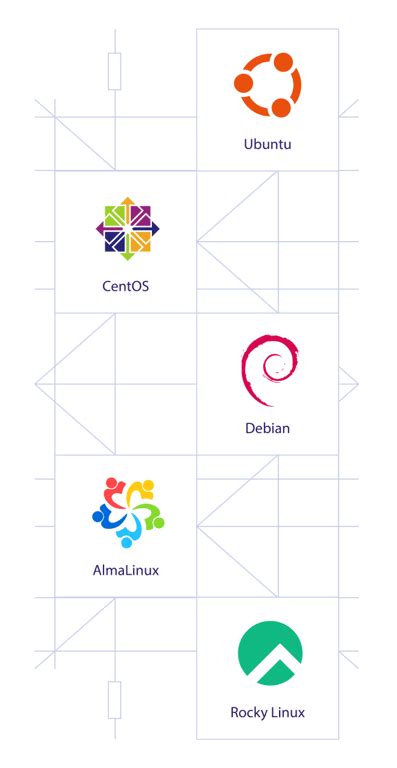 Image result for VPS Software