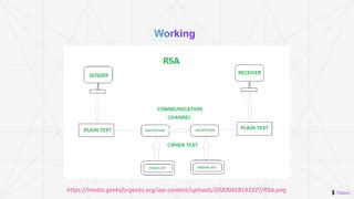 RSA Asymmetric Algorithm に対する画像結果