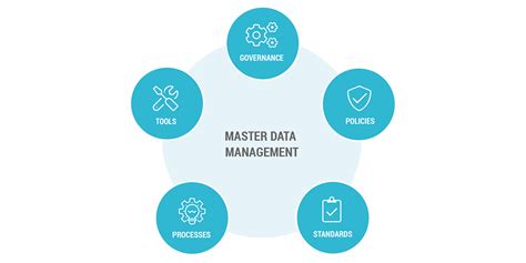 Image result for Master Data Management Solution Icon