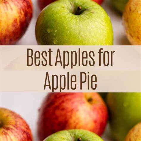 Image result for Apple Store Appt