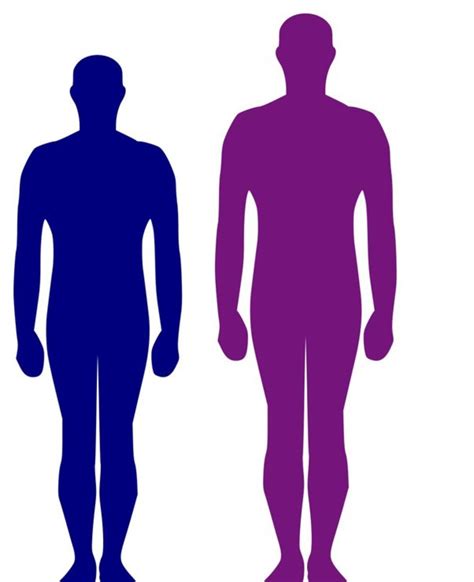 Image result for Height Limit Road Sign