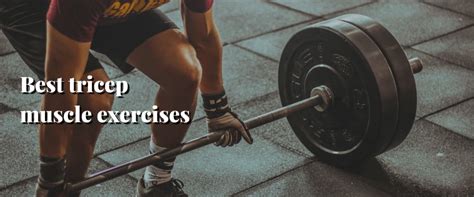 Image result for Top Tricep Workouts