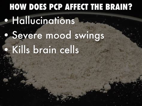 Image result for Effects of PCP On the Nervous System