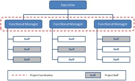 Afbeeldingsresultaten voor Functional Organisation Structure