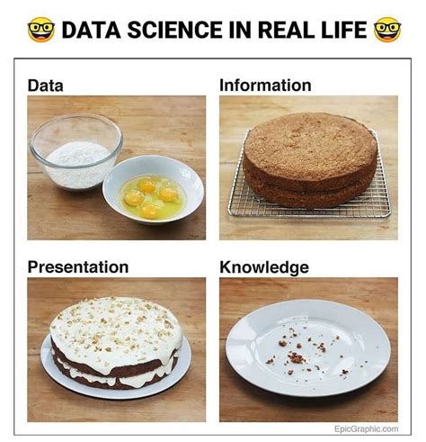 Image result for Client Describing Their Data Science Meme Cake