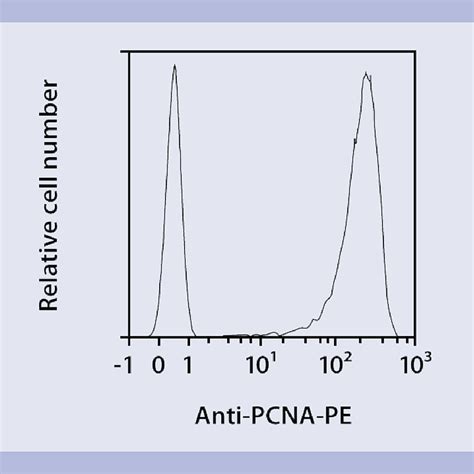 Image result for Combination Cell Cycle Cell Proliferation Flow Cytometry