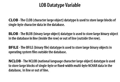 Image result for Data Type in PL/SQL