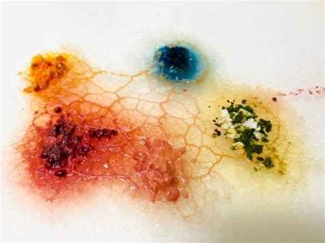 Image result for Lumpy Blood