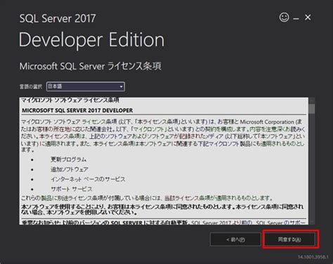 SQL Developer SQL Server に対する画像結果