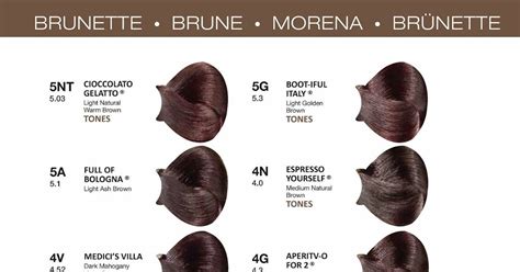 8N Hair Color Chart – Warehouse of Ideas