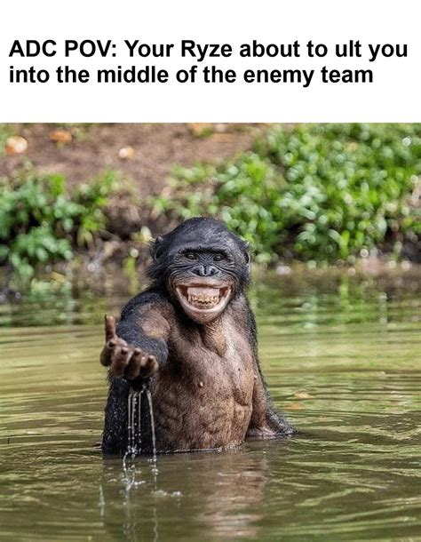 Afbeeldingsresultaten voor I'm Not Mad I'm Just Explaining GIF