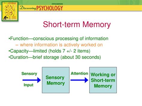 Image result for Short-Term Memory Working Memory Long-Term Memory