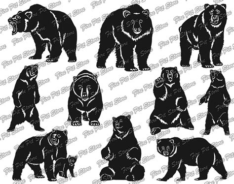 Image result for Bear Unity Vector