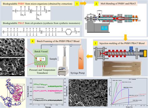 Image result for Pbav Vector