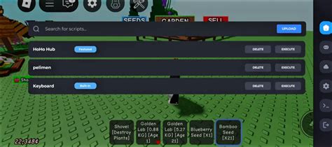 Toradh íomhá ar Delta Executor Code