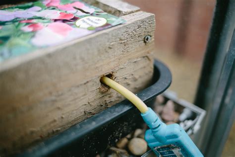 Résultat d’images pour Plant Propagation Clean Bench