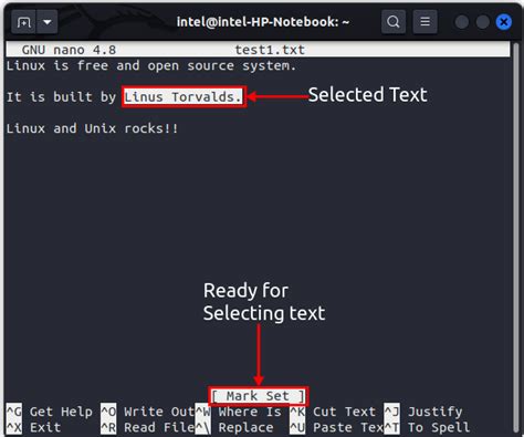 Image result for Nano Text Editor Linux