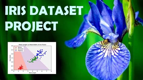 Image result for Iris Dataset Machine Learning Python Code