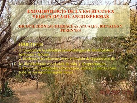 Image result for Example of Capillary Action