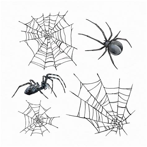 Afbeeldingsresultaten voor Realistic Spider Print