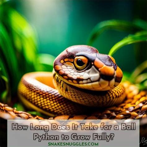Image result for Grow Cut Python