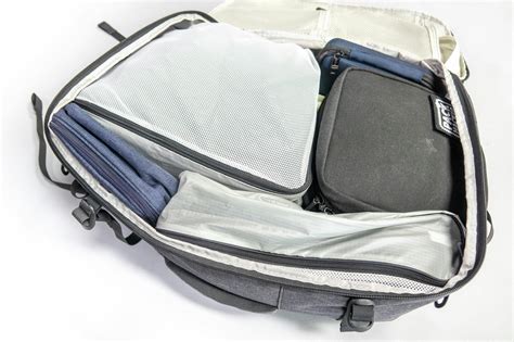 Image result for Tortuga Set Out