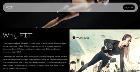 Toradh íomhá ar DSN Cursor Effect Source Code