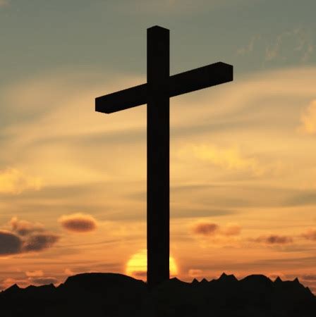 Image result for Cross Trainer SXT Pumps Two 5662