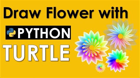 Image result for Turtle Python Shape Cord Flower Rose Using Loop