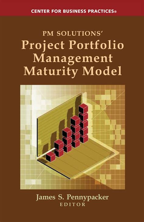 Image result for Project Portfolio Management Maturity Model