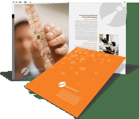 Afbeeldingsresultaten voor Bad Brochure Examples