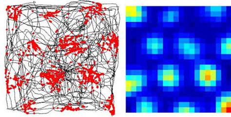 Image result for Cell Grid Computer