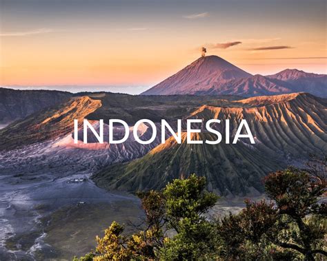 Image result for Java Mame