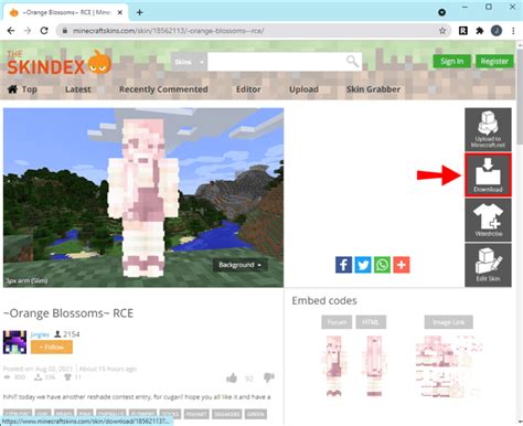 Image result for How to Put Skins On Minecraft Java