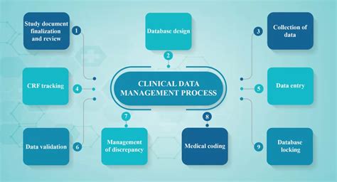 Image result for Steps in Clinical Data Management Process