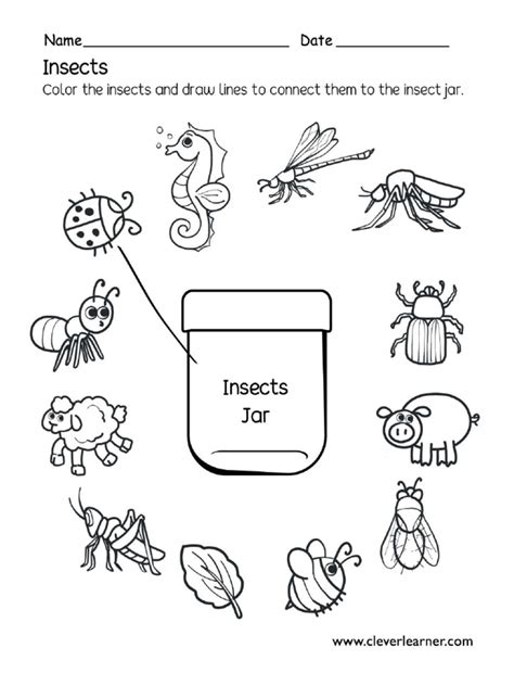 Toradh íomhá ar Insect Matching Worksheet