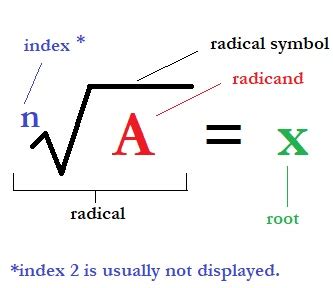 Image result for Root Math