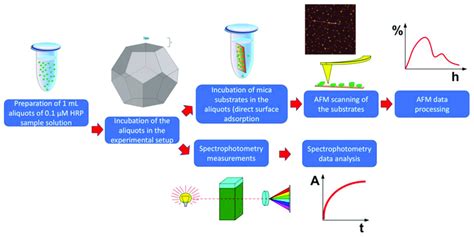 Image result for Workflow Chart for Hetro Labs Process