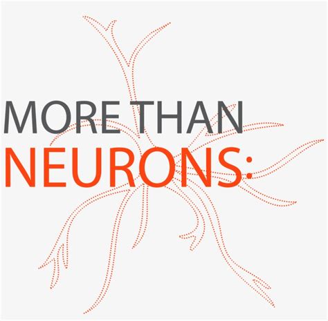 Afbeeldingsresultaten voor SQL Program Graphic