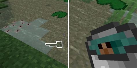 Toradh íomhá ar Cold Frog Minecraft